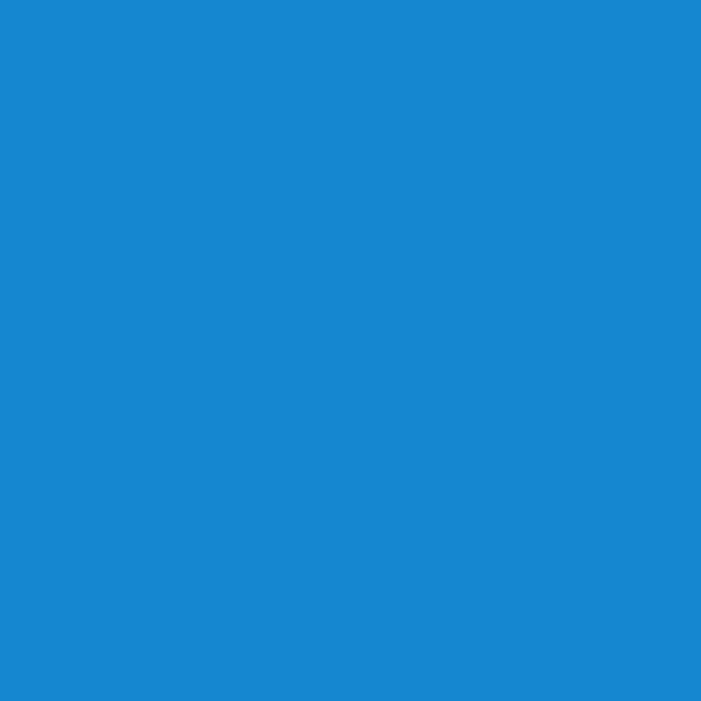 Siser® Cadflex Heat Transfer Vinyl - 20" X 1 YD