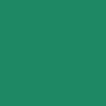 Siser® Easyweed Heat Transfer Vinyl - 15" X 1 YD