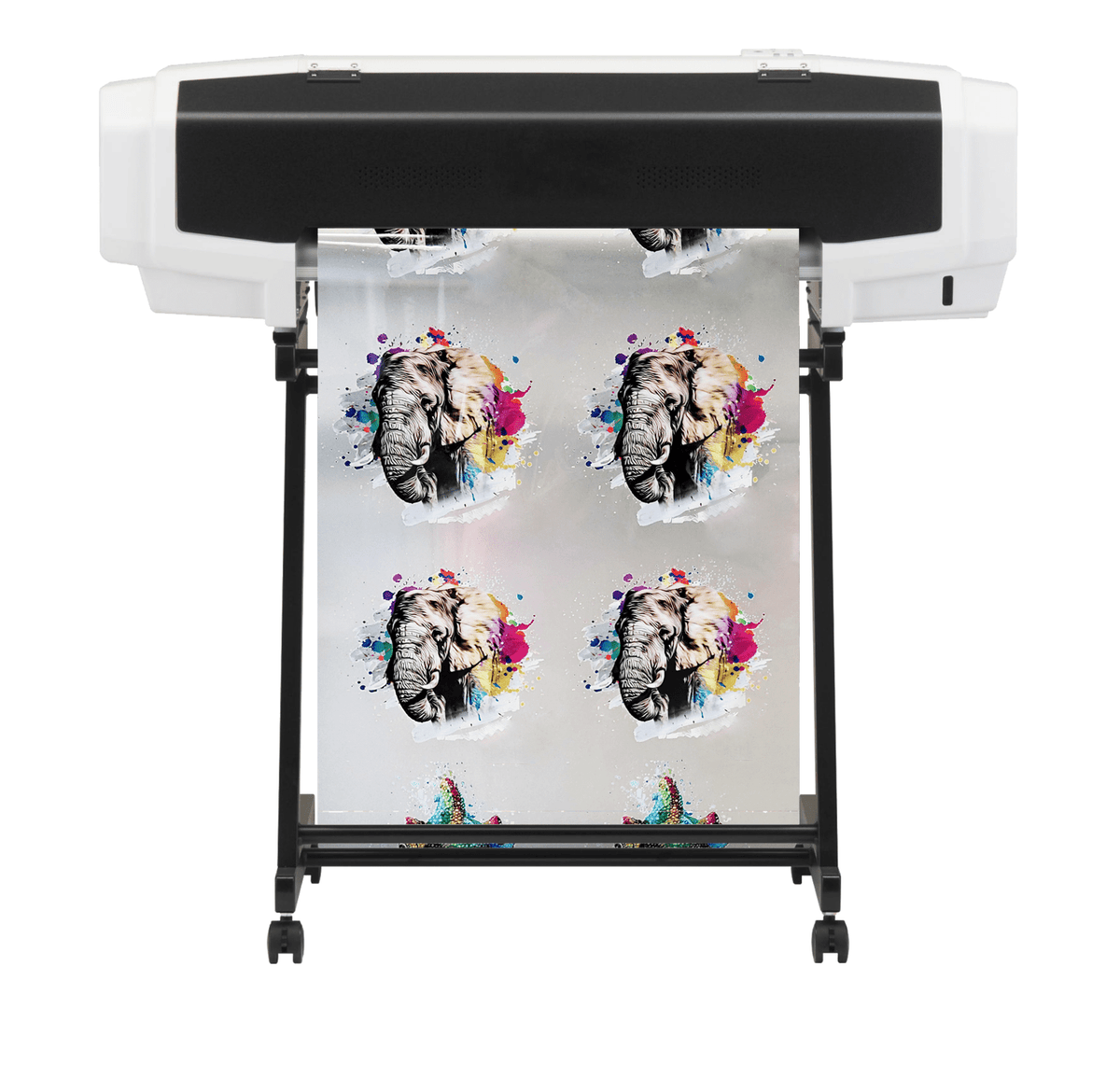 STS Mutoh direct to film printer