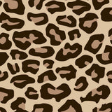 Easypatterns Heat Transfer Vinyl - 12" X 1 YD