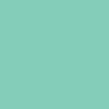 Siser EasyPSV Permanent Mint swatch