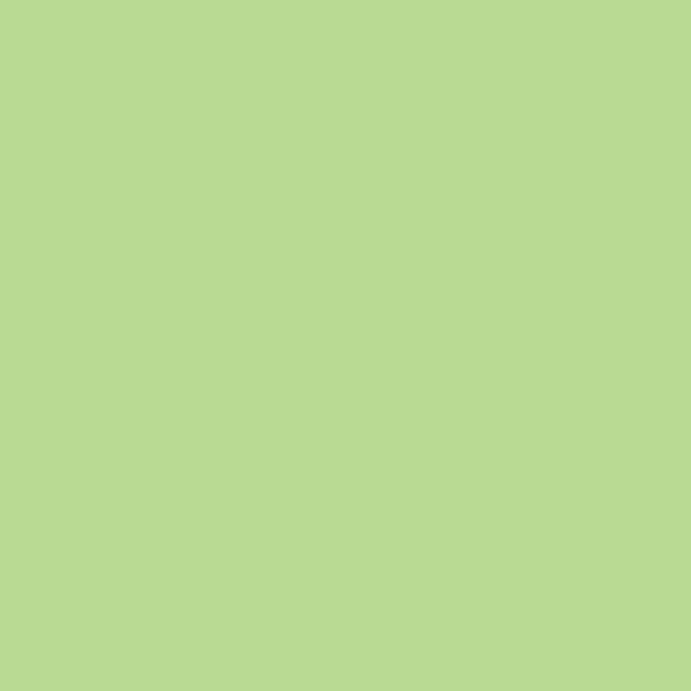 Siser EasyPSV Permanent Green Tea swatch