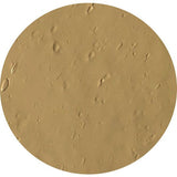 Sport Plastisol Ink For 100% Polyester & Athletic Fabrics