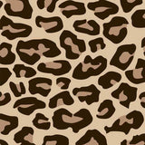 Easypatterns Plus Heat Transfer Vinyl Roll - 12" X 1 YD