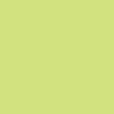 Siser EasyPSV Permanent Pistachio swatch