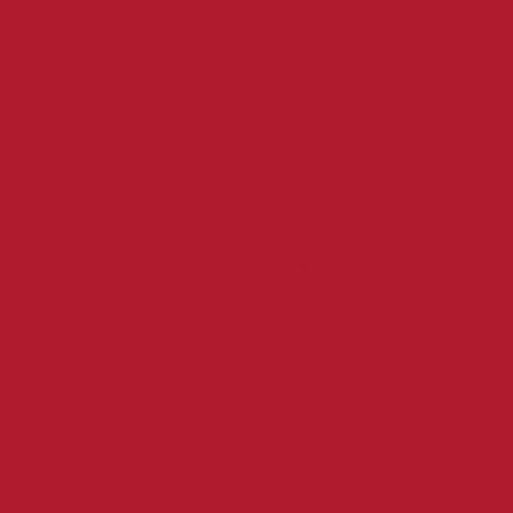 Siser® Cadflex Heat Transfer Vinyl - 20" X 1 YD