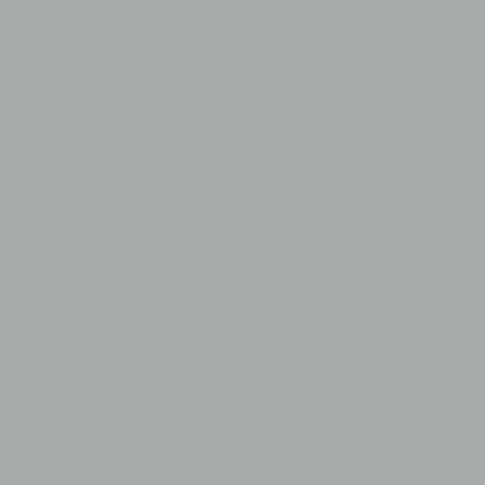 Siser EasyPSV Permanent Silver Dollar swatch