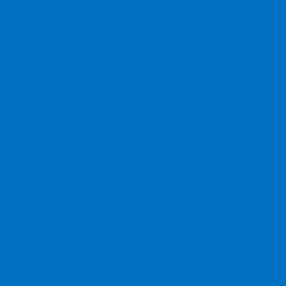 Siser® Easyweed Heat Transfer Vinyl  - 15" X 1 YD